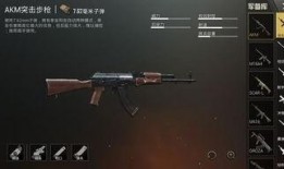 吃鸡ak最新爆料视频,性能大揭秘