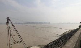 杭州九堡大桥最新爆料,揭秘工程进展与未来规划