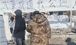 羊村最新爆料事件,揭秘最新爆料事件背后的真相