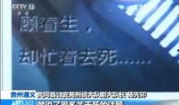 深圳宝安小刘爆料案件最新,小刘揭露最新案件内幕，真相令人震惊
