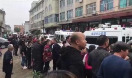 新河中学爆料案件最新,真相大白，校园安全再引关注”