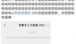 笑果最新爆料新闻事件,最新爆料揭露娱乐圈内幕”