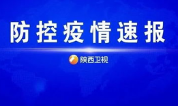 平湖最新爆料新闻报道视频,揭秘视频背后的惊人真相